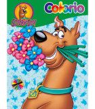 КНИЖКА ЗА ОЦВЕТЯВАНЕ COLORIO WARNER BROS ГЕРОИ 32 СТР. 6 ВИДА Boek Specials Nederland bv