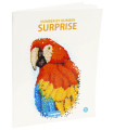 РИСУВАЙ С ЧИСЛА  SURPRISE 48 СТР. 4 ВИДА