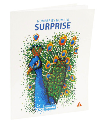 РИСУВАЙ С ЧИСЛА  SURPRISE 48 СТР. 4 ВИДА 