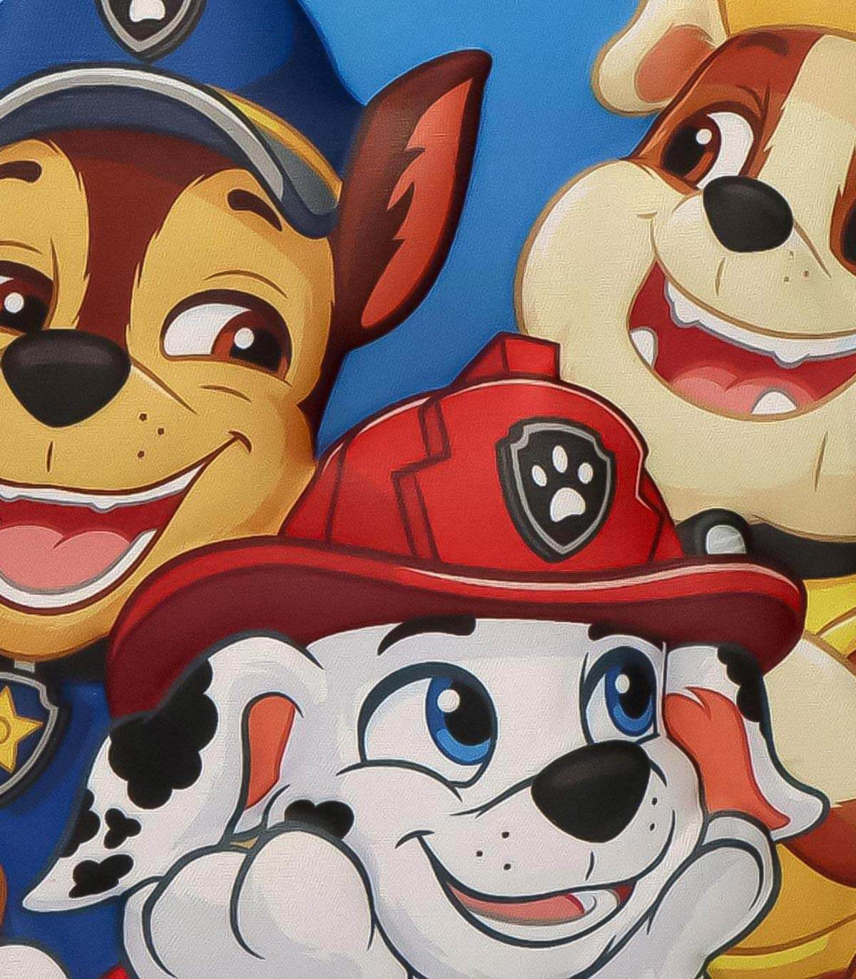 ДЕТСКА 3D ТЕРМО ЧАНТА PAW PATROL