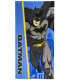 ДЕТСКА ХАВЛИЯ BATMAN 70*140 Cerda