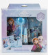 ДЕТСКИ ДНЕВНИК С КАТИНАР И АКСЕСОАРИ FROZEN Cerda